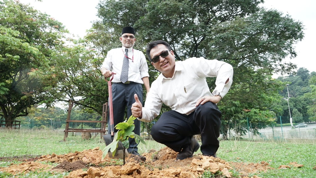 pokok-tarap-ditanam-oleh-kppm