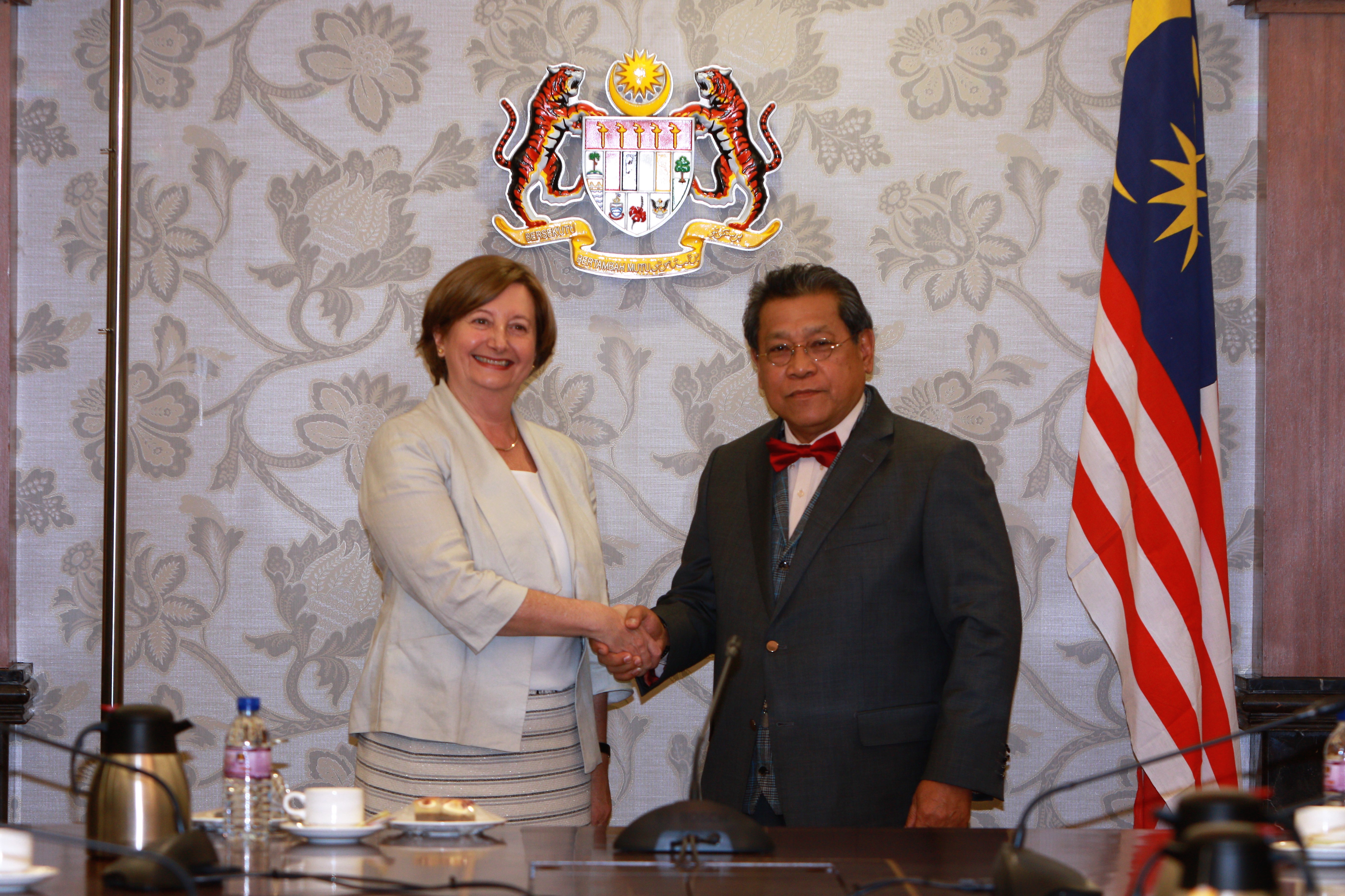 ypdr-terima-kunjungan-hormat-presiden-icc