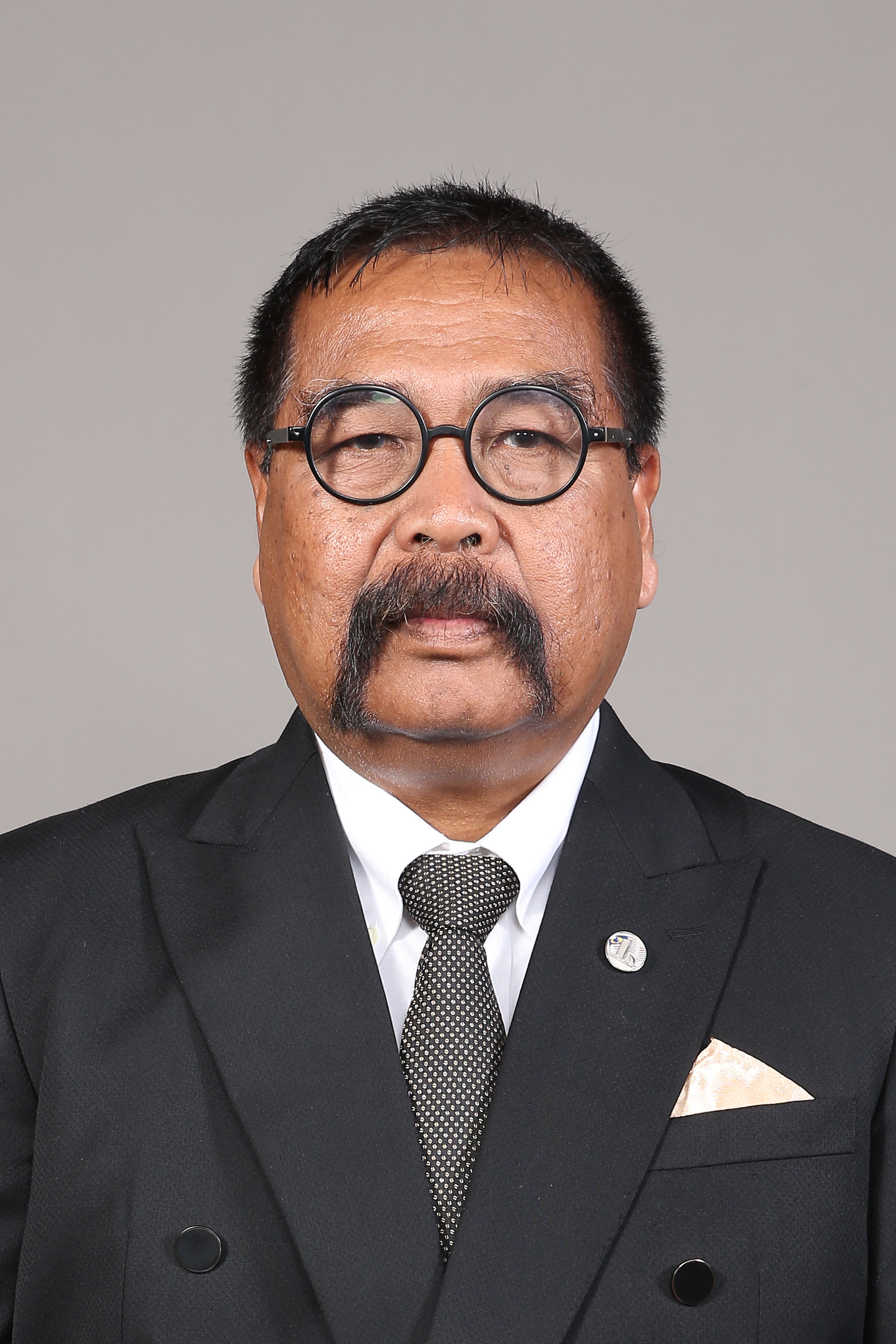 Photo - YB Dato' Ramli Bin Dato' Mohd Nor - Click to open the Member of Parliament profile